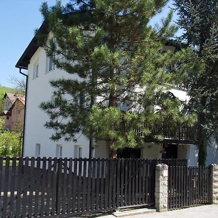 Apartment Zupan Maribor Exteriör bild